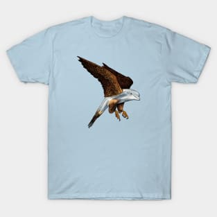 Peregrine Dolphin T-Shirt